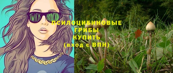 прущий лед Алексеевка