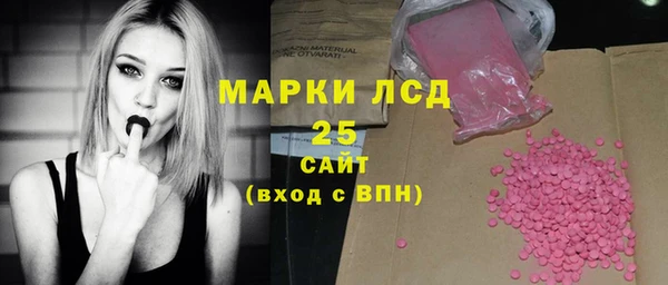 прущие грибы Абаза
