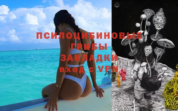 прущий лед Алексеевка