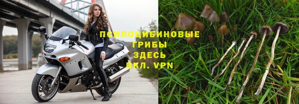 прущий лед Алексеевка